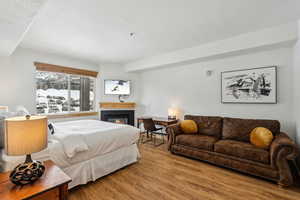 Bedroom featuring hardwood / wood-style flooring