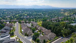 Aerial view with a mountain view