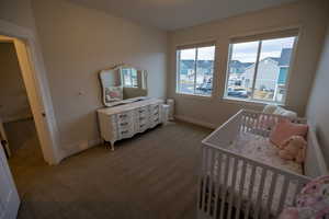 Carpeted bedroom with a nursery area