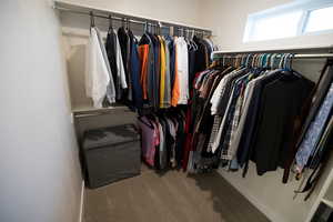 Spacious closet with carpet flooring