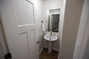 Bathroom featuring wood-type flooring