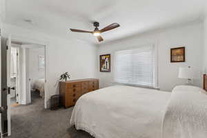 Carpeted  primary bedroom with multiple windows, ceiling fan, and crown molding