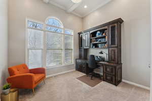 Carpeted office featuring a high ceiling, ornamental molding and a view of the valley