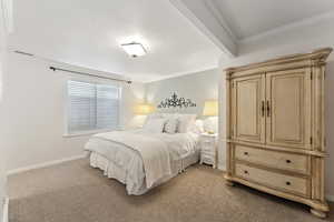 Basement master bedroom with walk-in closet and full bath