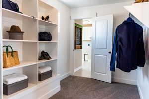 Spacious closet with light colored carpet