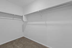 Spacious walk-in closet featuring carpet