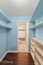 Spacious closet featuring wood-type flooring