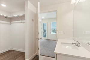 Bathroom featuring wood-type flooring and vanity