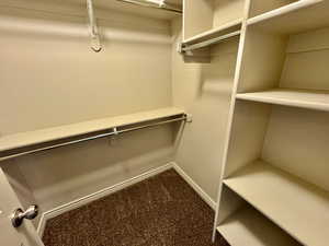 Walk in closet featuring carpet flooring