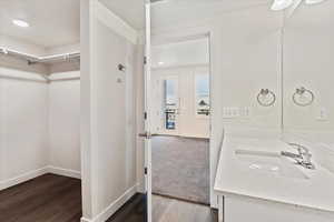 Bathroom featuring wood-type flooring and vanity