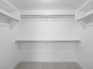 Spacious closet featuring carpet