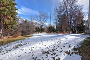 Yard layered in snow featuring a mountain view