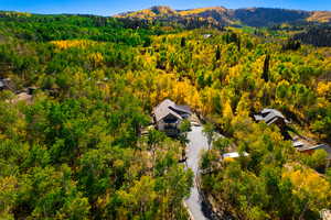 Aerial view with a mountain view