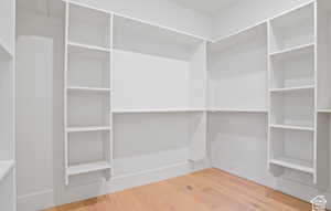 master Walk in closet with hardwood / wood-style flooring