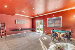 Playroom with a textured ceiling, crown molding, and carpet