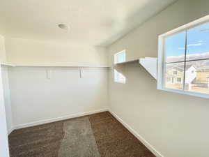 Walk in closet featuring carpet flooring