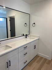 Bathroom with wood-type flooring and vanity