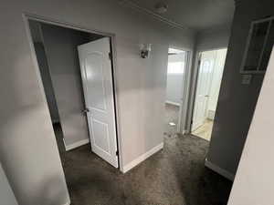 Hall featuring ornamental molding and dark carpet