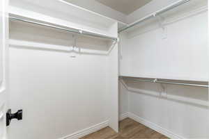 Spacious closet with wood-type flooring