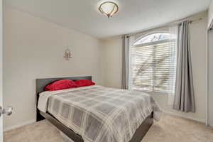 Bedroom featuring light carpet and multiple windows