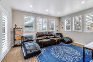 Living room featuring a wealth of natural light