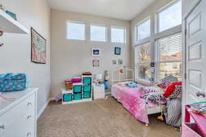 Carpeted bedroom featuring multiple windows