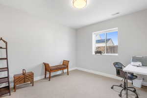 Bedroom in Basement