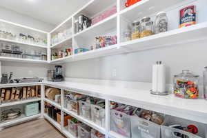 Huge Pantry with Small Appliance Counter & Preparation Area