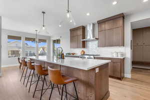 Custom Gormet Kitchen with Contemporary Cabinets to the Ceiling