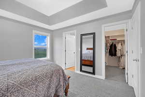 Bedroom with a walk in closet, a raised ceiling, a closet, and light colored carpet