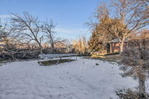 Yard layered in snow with a trampoline