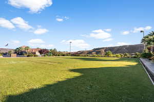 View of community park / lawn for games with the family and friends.