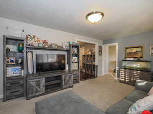 Carpeted living room featuring a textured ceiling