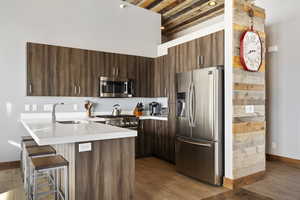 Kitchen with a kitchen bar, kitchen peninsula, stainless steel appliances, dark brown cabinets, and sink