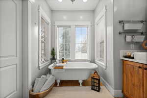 Bathroom featuring vanity, a bathtub, and hardwood / wood-style flooring