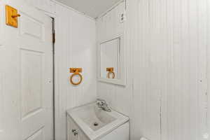 Bathroom with sink and wood walls