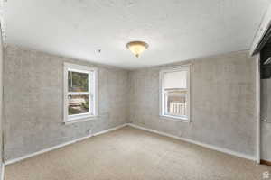 Carpeted empty room with a wealth of natural light