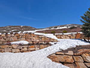 Back Fire Pit Area & Open Space Beyond