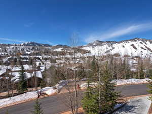 View from the Front Patio