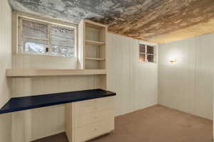 Small Basement Bedroom