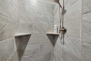 Interior details with tiled shower