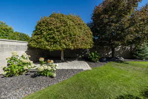 View of yard with a patio area