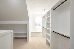 Walk in closet with light colored carpet