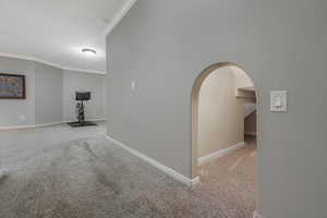 Hall with carpet floors and crown molding