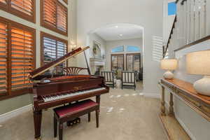 Miscellaneous room with light colored carpet and a high ceiling