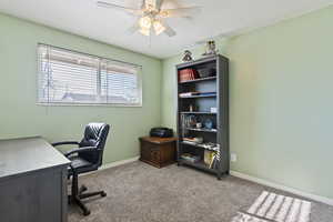 Bedroom or office space with ceiling fan and light colored carpet