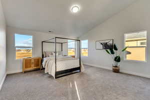 Carpeted bedroom with high vaulted ceiling