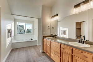 Bathroom with vanity, a washtub, and hardwood / wood-style flooring