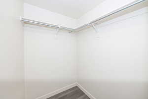 Spacious closet featuring dark wood-type flooring