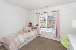 Bedroom featuring carpet floors and multiple windows